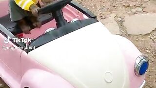Just guess