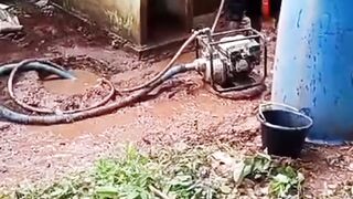 Moment untuk menaikan harga ikan lele biasanya musim kemarau