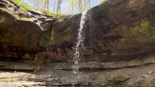 NATURE 40