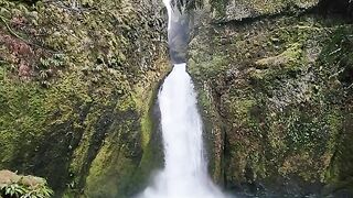 NATURE 41