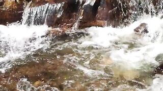 NATURE 42