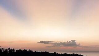 NATURE 48