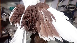 My dead bird 3