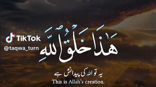 MashaAllah Beautiful Video ❤️❤️????