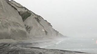 NATURE 61
