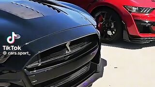 Ford shelby