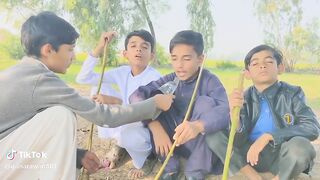 Sarki