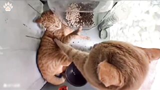 Stop eating! You're eating too much. ????????????
