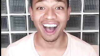 Animal tiktok  compilation reactions  tiktok