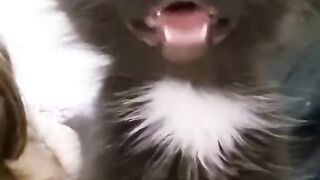 Khan shab KY Liye sadka ty nikalye