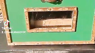 Small incubator
