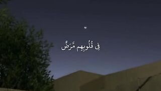 TILAWAT E QURAN:(تلاوت قرآن)