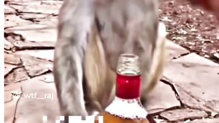Funny video