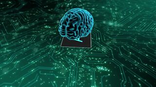 Brain Waves