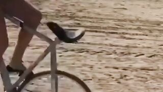 Girl cycle fun????#fun