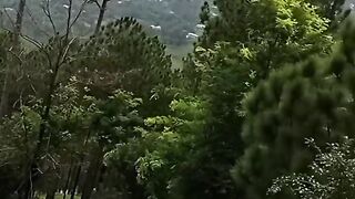Beautiful Nature