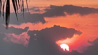 NATURE 65