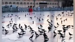 Madina munawara