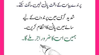 شرعی مسائل اور ان کا حل