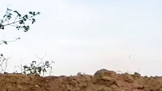 لاش اور عاشق پٹ