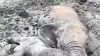 Rescue