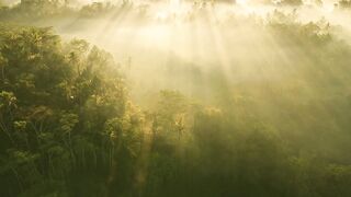 Morning Energy Calms the Soul