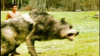 Movies clips