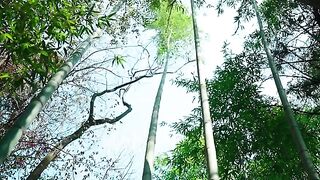A simple bamboo pot brush requires several steps to make