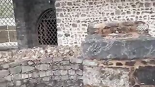Madina_Ka_will_Kuwan_Jiske_Pani_Se_Nabi_ﷺ_Ko_gusal_Diya_Gaya