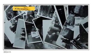 Charlie Chaplin The Bank (1915 film) Silent Film _ Edna Purviance_ Leo