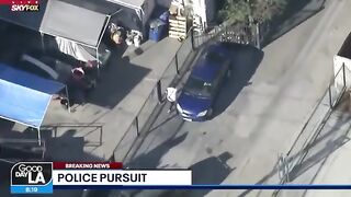In  pursuit