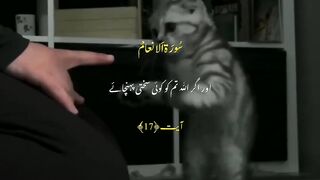 Urdu Quran # #quran #trending #viral #ytshorts #shorts #urdu #IslamicINFO
