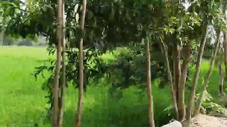 Beautiful Bangladesh