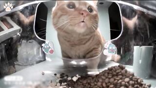 Mr. Curious ???????? a surprising discovery