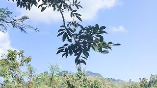 Beautiful scenery of nature ????