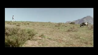 Hombre VS vaca fight to the death Kung fu
