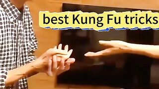 kung fu tricks