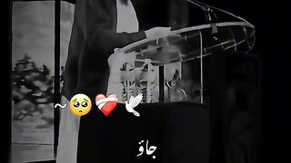 Molana tariq jameel bayan