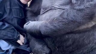 Love story with king kong ????