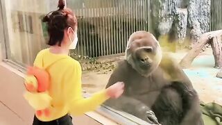 Girl monkey dance????????