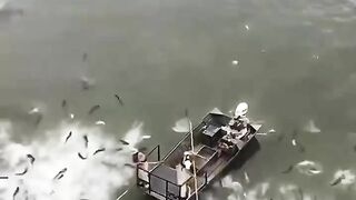 Fishes ????#febspot #fun #funny