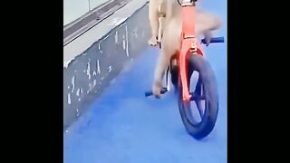 Wow monkey