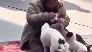 A poor man feeding hungry Dogs He has Feelings for Them