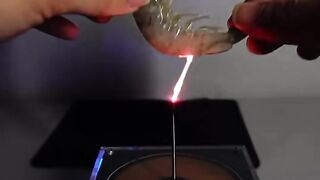 Amazing video