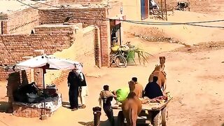 Village life.nature