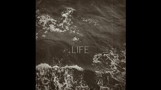 Zivert - Life  (Max Nalimov Blend)