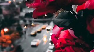 Nature beauty