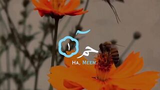 ارح قلبك