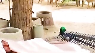 Village life