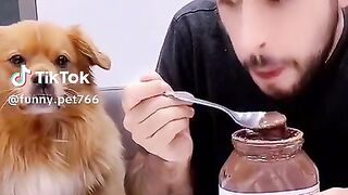 Funny pet